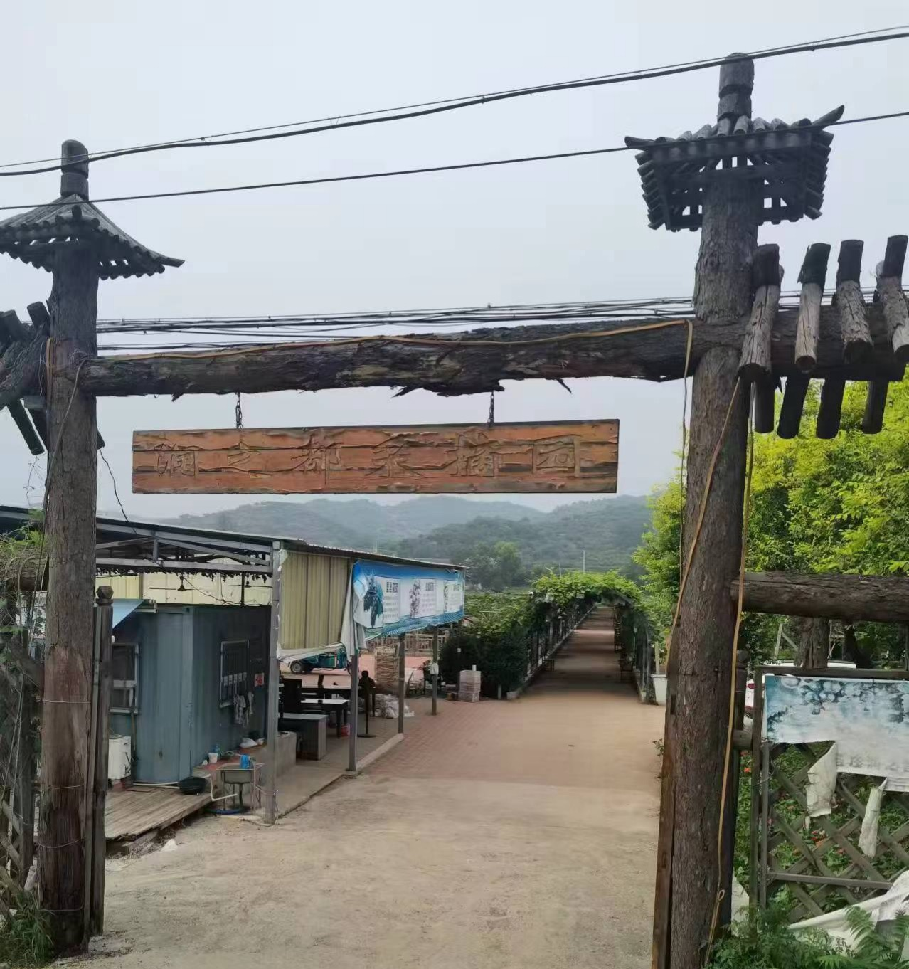 图片 5